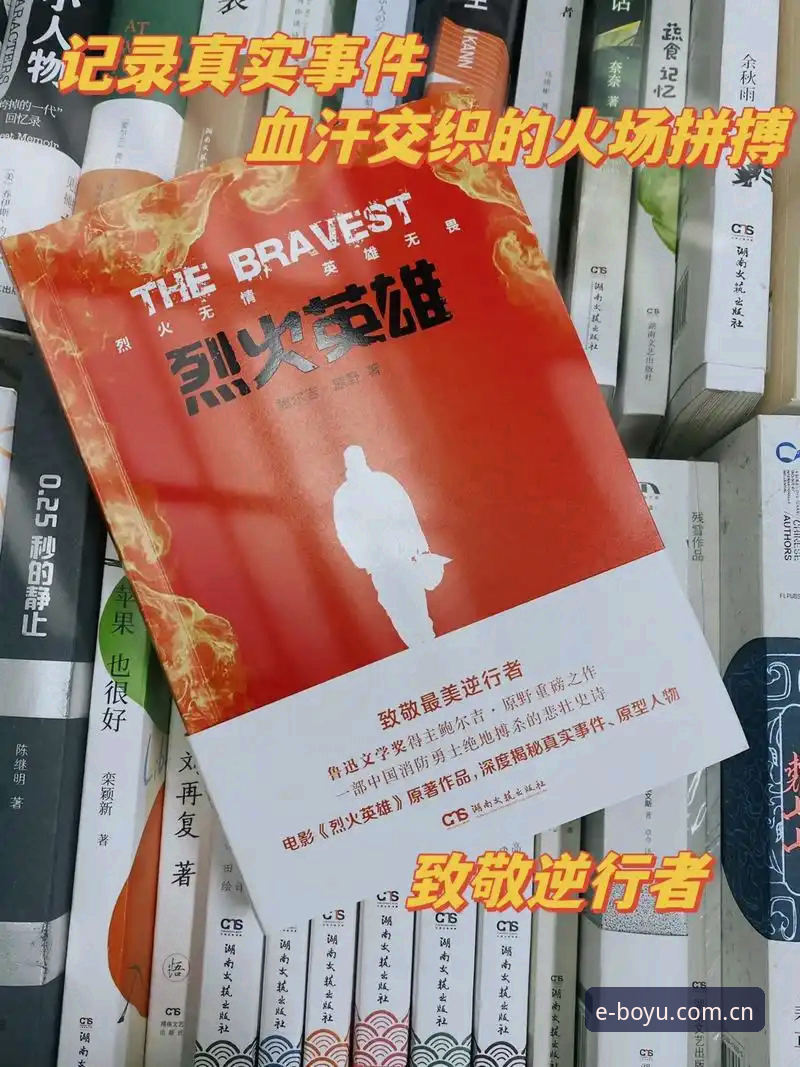 深度揭秘：博鱼体育app中国站投注替代背后的真实体验